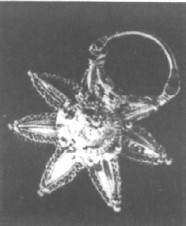 Европа, тюрки, Великая Степь - i_032.jpg