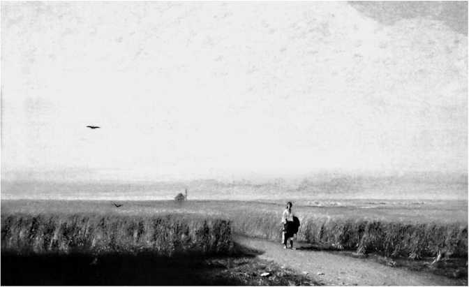 Сага о Великой Степи - i_006.jpg