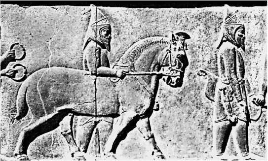 Сага о Великой Степи - i_045.jpg