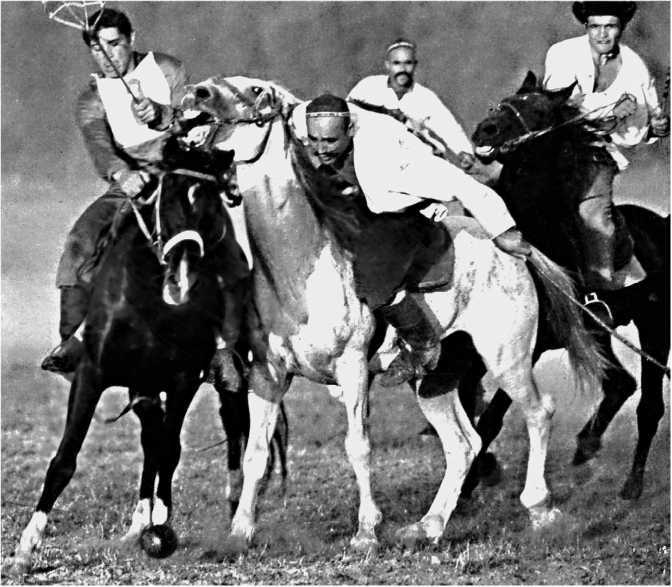 Сага о Великой Степи - i_062.jpg