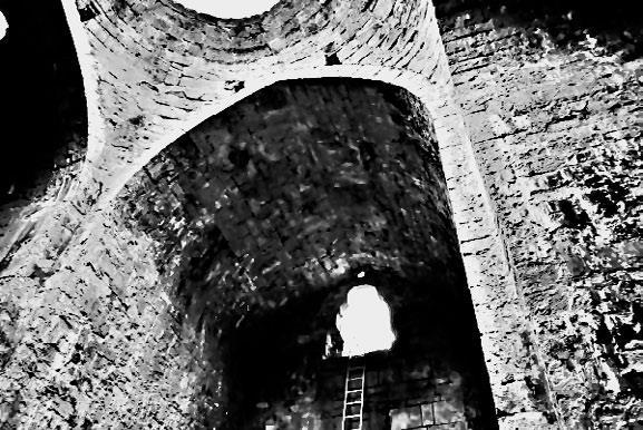 Сага о Великой Степи - i_066.jpg