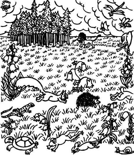 Сотворение мира. Адам и Ева. Вып. 4 - i_006.jpg