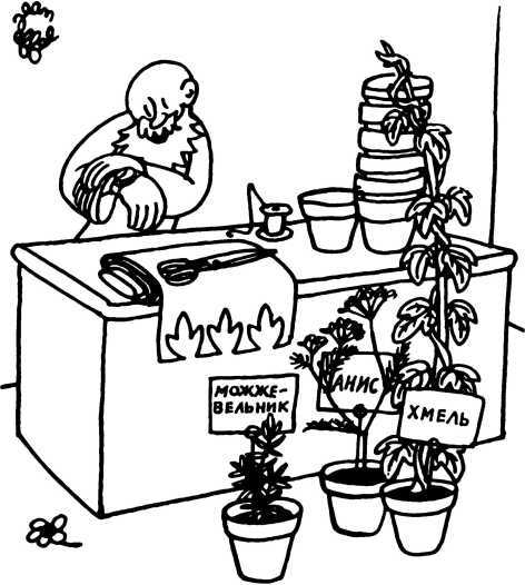 Сотворение мира. Растения и животные. Вып. 2 - i_023.jpg