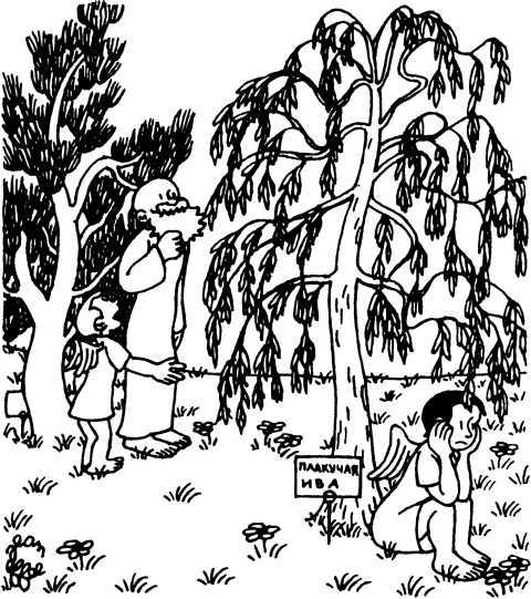 Сотворение мира. Растения и животные. Вып. 2 - i_029.jpg