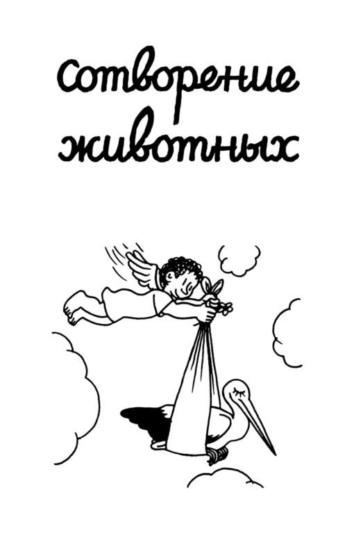 Сотворение мира. Растения и животные. Вып. 2 - i_047.jpg