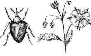 Борьба с вредителями - i_009.jpg