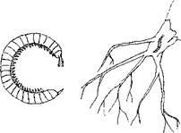 Борьба с вредителями - i_011.jpg