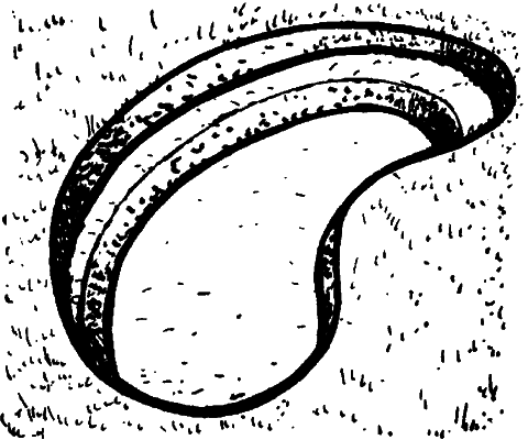 Декоративные пруды и водоемы - _02.png