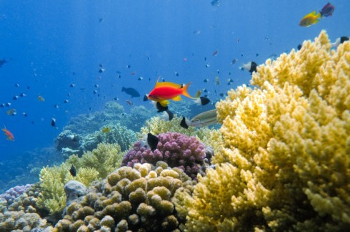 Учебник фотографа - _174.jpg