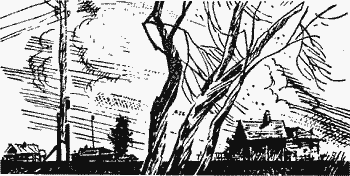 Белая трава. (Рассказы) - pic12_1.png