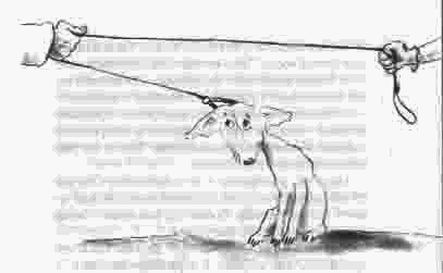 Чудаки и зануды - note_3.png