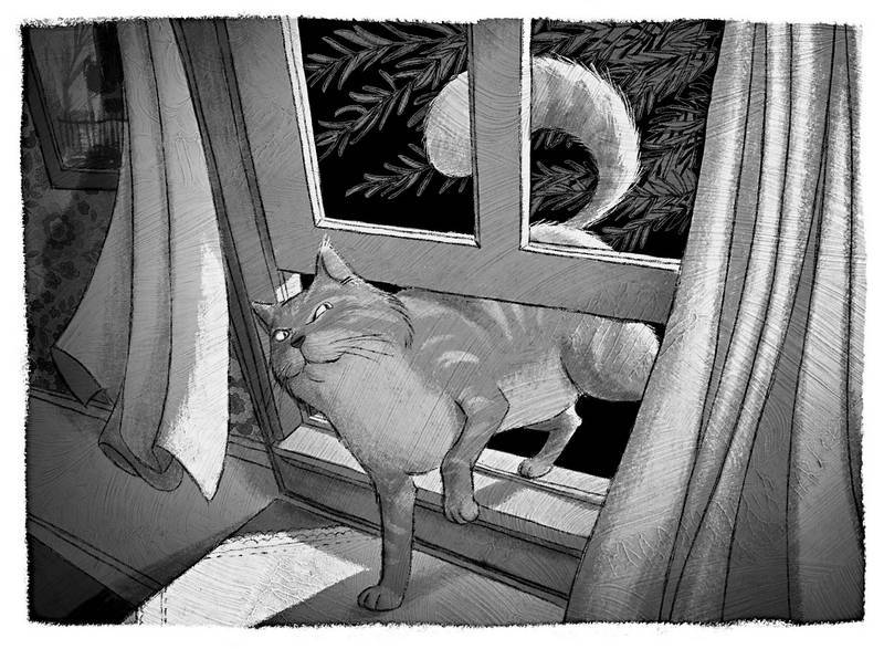 Книга теней - i_003.jpg