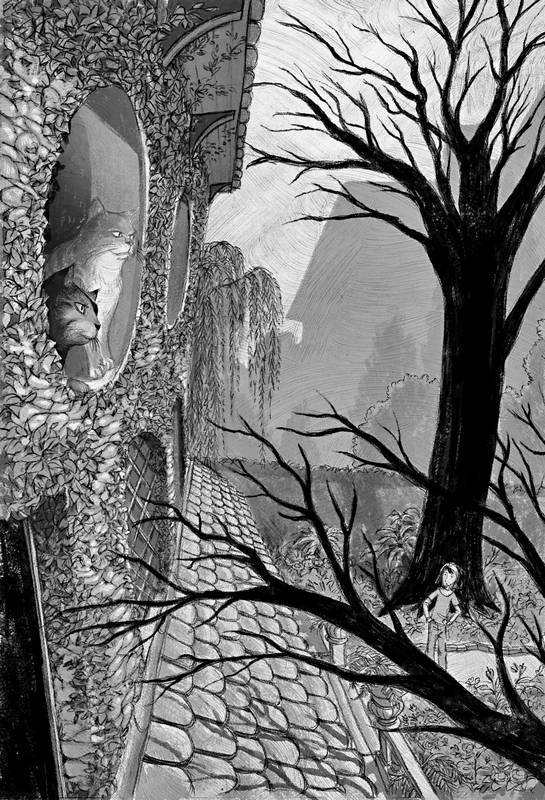 Книга теней - i_007.jpg