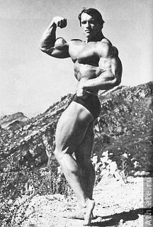 Новая энциклопедия бодибилдинга. Кн.4 Соревнования - _65.jpg