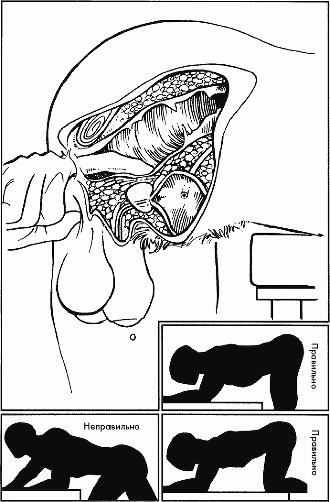 Библия секса - i_070.png