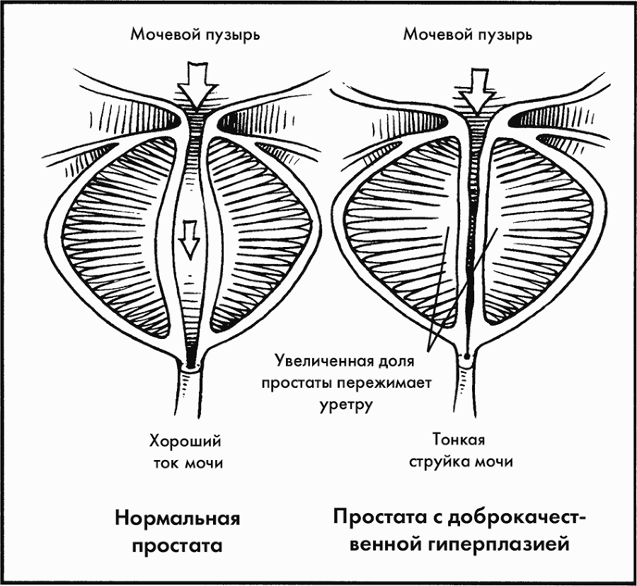 Библия секса - i_072.png