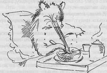 Все о медвежонке Паддингтоне - i_008.jpg