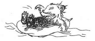 Все о медвежонке Паддингтоне - i_024.jpg