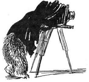 Все о медвежонке Паддингтоне - i_029.jpg