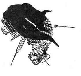 Все о медвежонке Паддингтоне - i_030.jpg