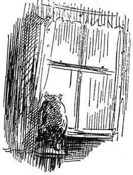 Все о медвежонке Паддингтоне - i_039.jpg