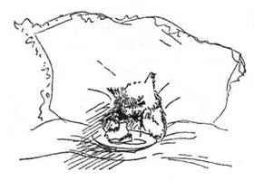 Все о медвежонке Паддингтоне - i_056.jpg