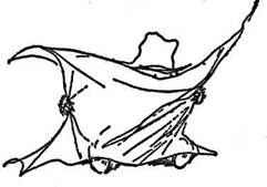 Все о медвежонке Паддингтоне - i_093.jpg