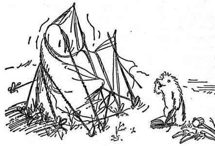 Все о медвежонке Паддингтоне - i_112.jpg