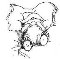 Все о медвежонке Паддингтоне - i_129.jpg