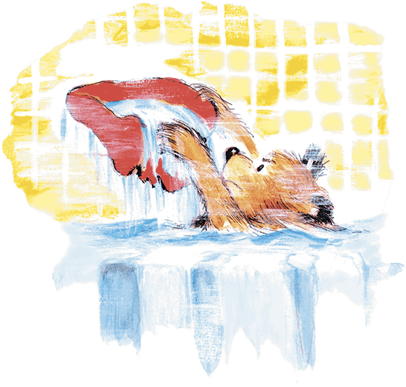 Медвежонок Паддингтон и его друзья (сборник) - i_026.png