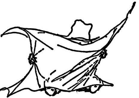 Паддингтон путешествует - i_001.jpg