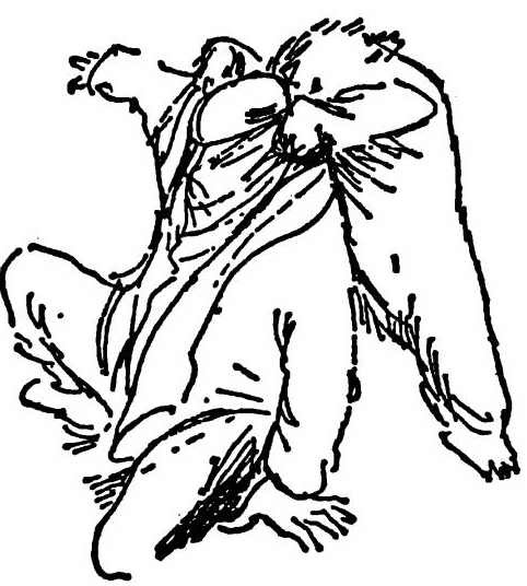 Паддингтон путешествует - i_036.jpg