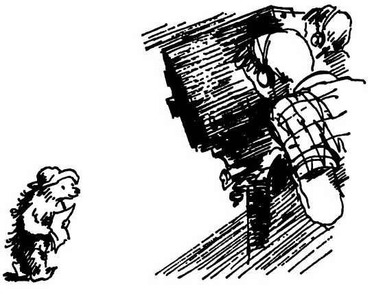 Приключения медвежонка Паддингтона - i_015.jpg