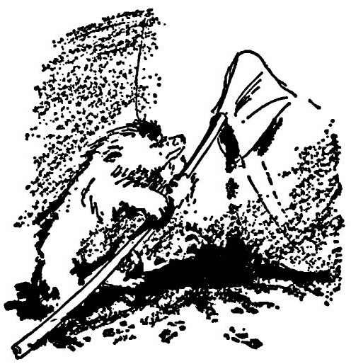 Приключения медвежонка Паддингтона - i_035.jpg