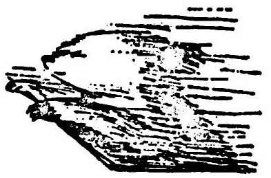 Приключения медвежонка Паддингтона - i_081.jpg