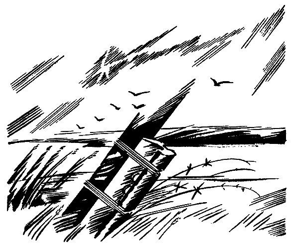 Товарищи (сборник) - i_003.png