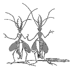 Орден Желтого Дятла - ml_0092_1.png