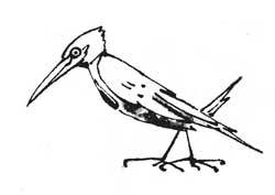 Орден Желтого Дятла - ml_0114.jpg