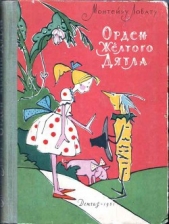  Лобату Монтейру Жозе Бенту Ренату - Орден Желтого Дятла