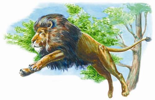 Вымершие животные - pic_22.jpg