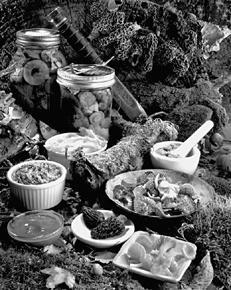 Собаки от А до Я - _067.jpg