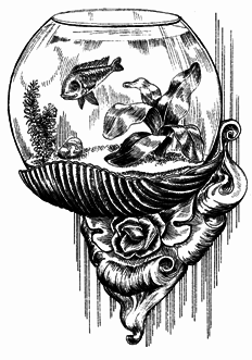 Устройство и дизайн аквариума - pic_4.png