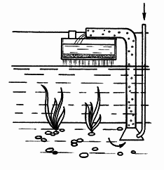 Устройство и дизайн аквариума - pic_9.png