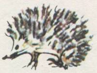 Истории из Бедокурии - i_038.jpg