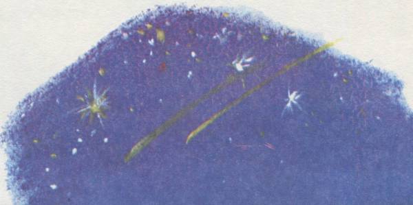 Истории из Бедокурии - i_047.jpg