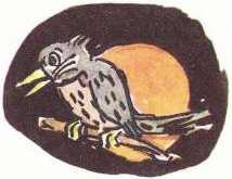 Приключения в лесу Ёлки-на-Горке (с илл.) - pic_38.jpg