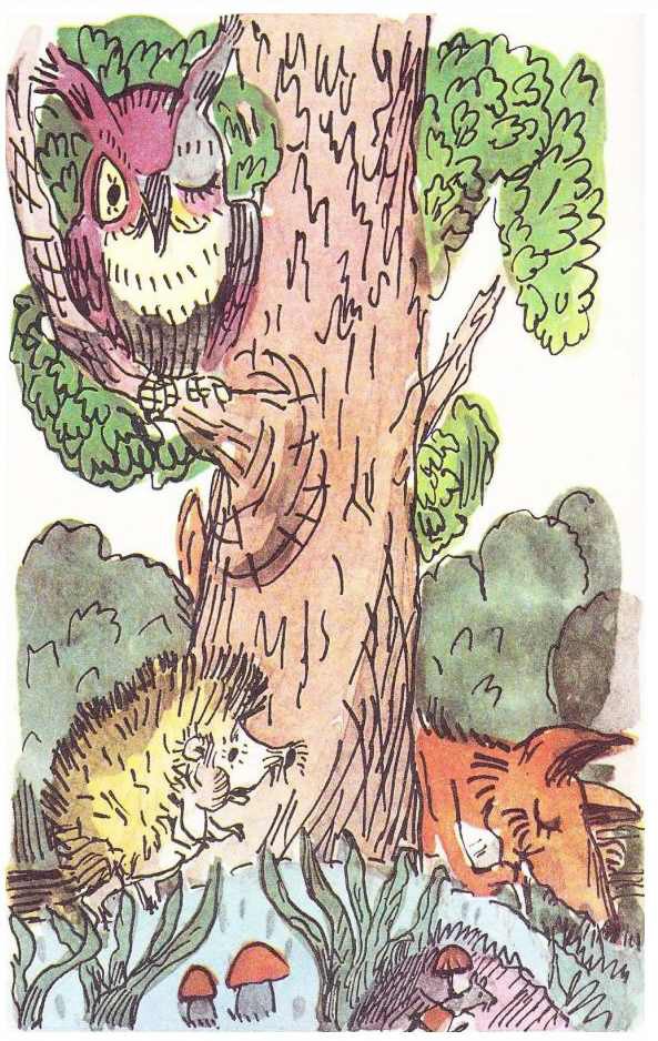 Приключения в лесу Ёлки-на-Горке (с илл.) - pic_49.jpg