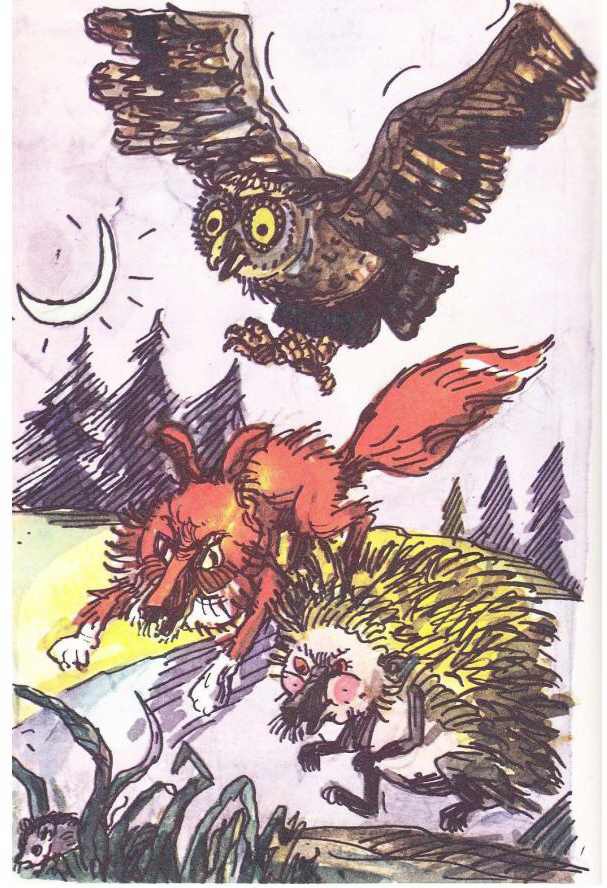 Приключения в лесу Ёлки-на-Горке (с илл.) - pic_58.jpg