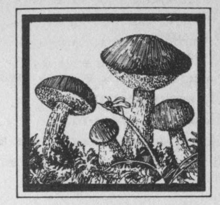 Избранные произведения в двух томах: том I - i_020.jpg