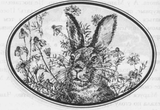 Избранные произведения в двух томах: том I - i_033.jpg